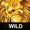 Вайлд